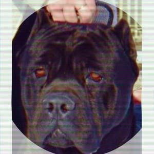 Meet your Posher, Johan